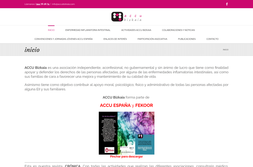 Bildschirmaufnahme von accubizkaia.com