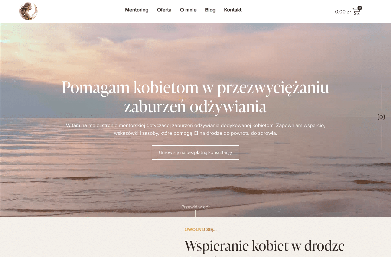 Bildschirmaufnahme von agnieszkajanczak.pl
