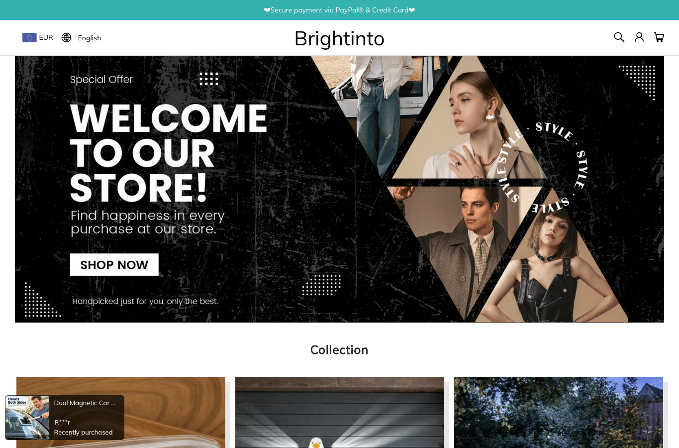 Bildschirmaufnahme von brightinto.com