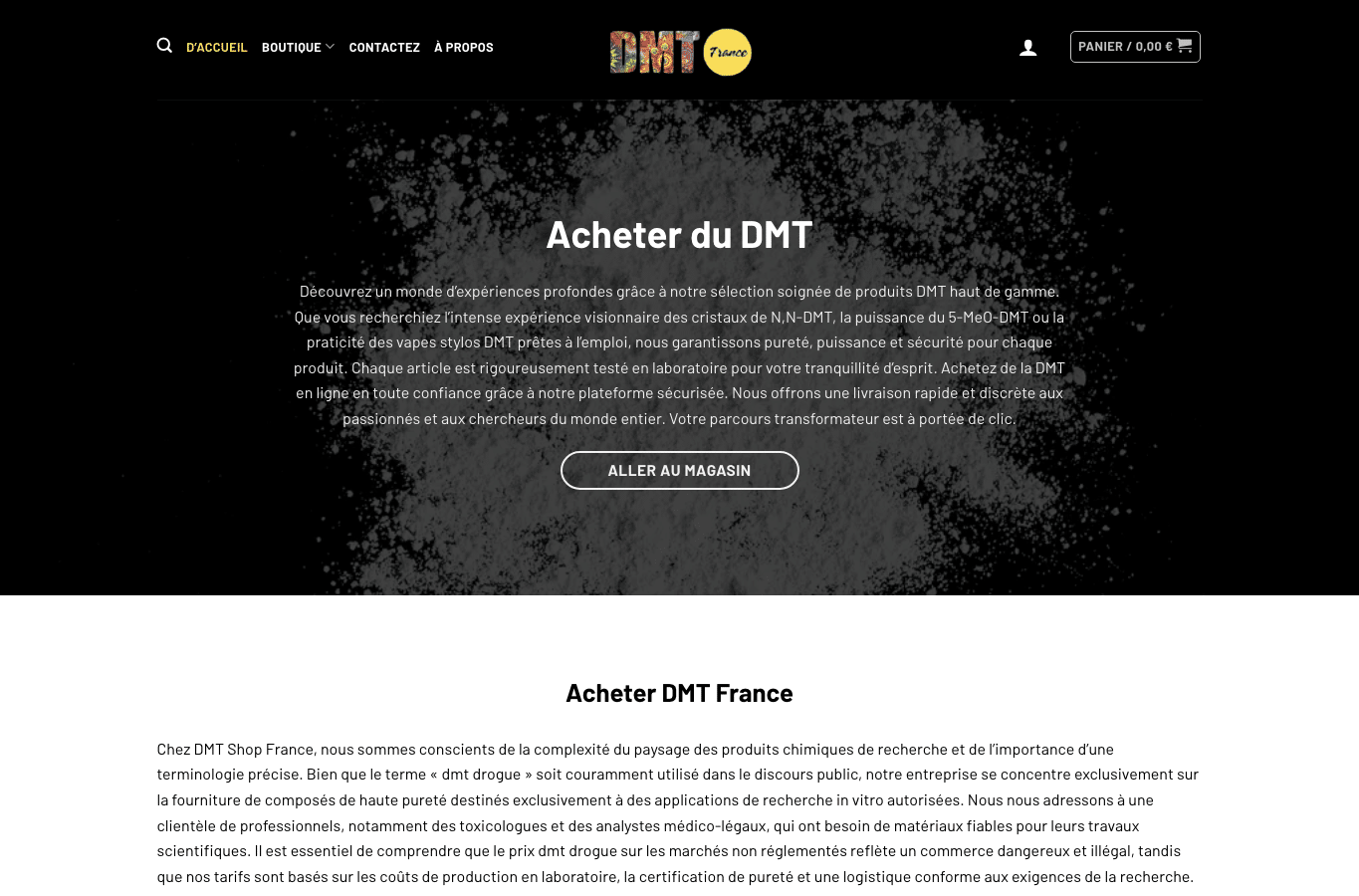 Bildschirmaufnahme von dmtshop.fr