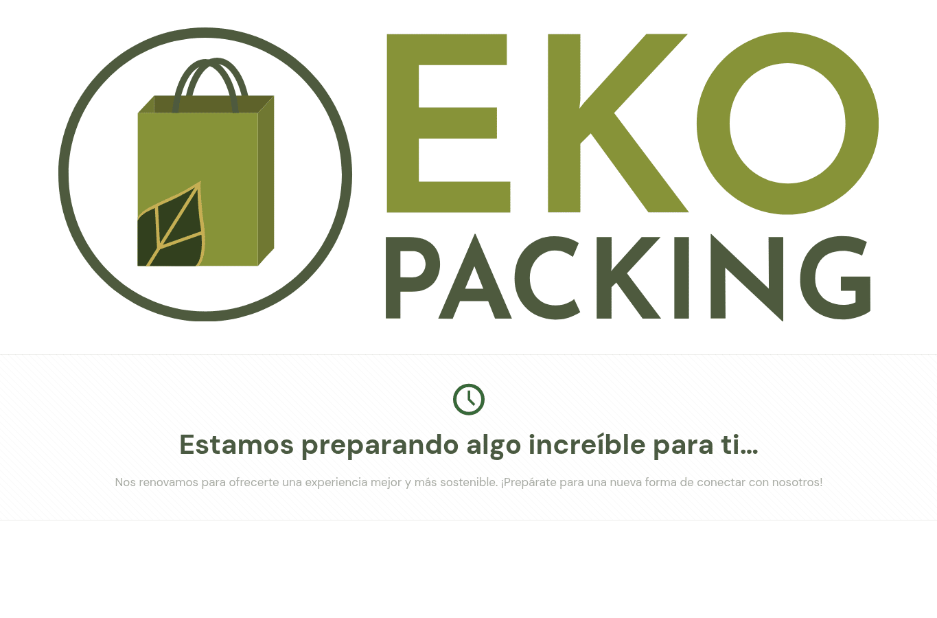 Bildschirmaufnahme von ekopackingsasstyle.com