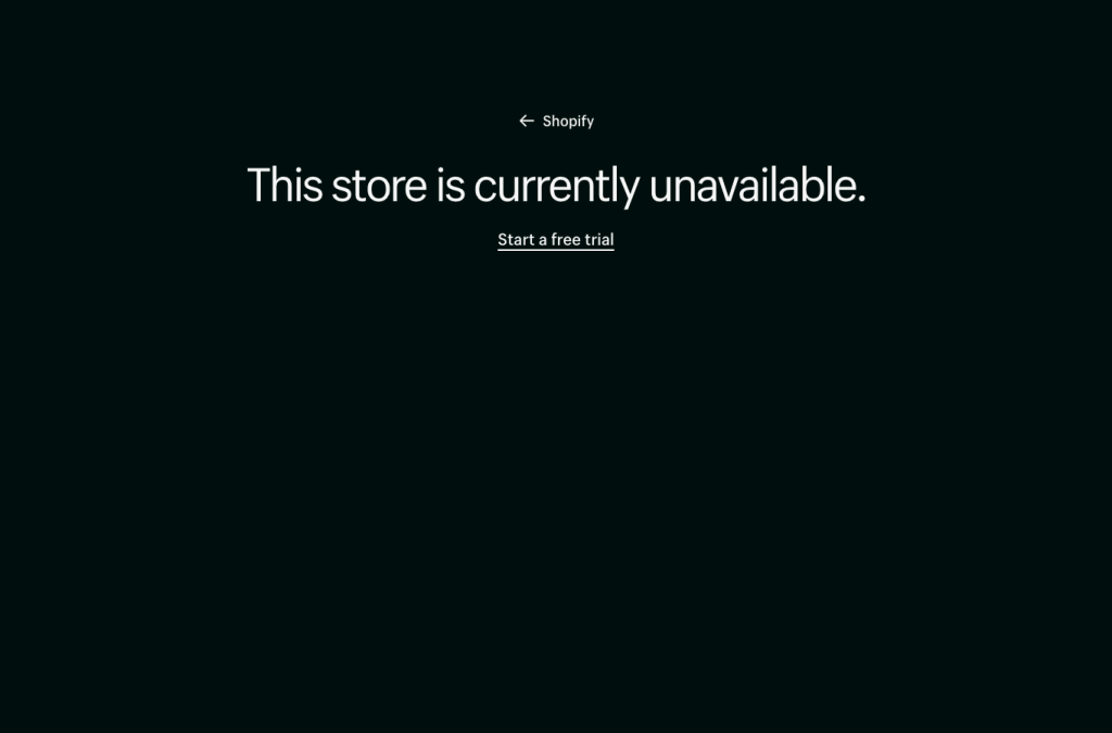 Bildschirmaufnahme von ever-shop.xyz