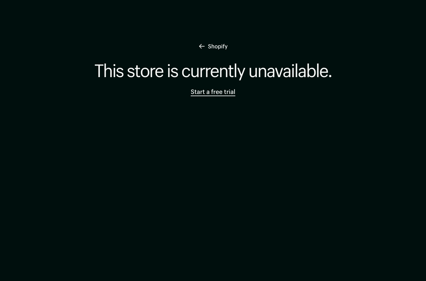 Bildschirmaufnahme von ever-shop.xyz