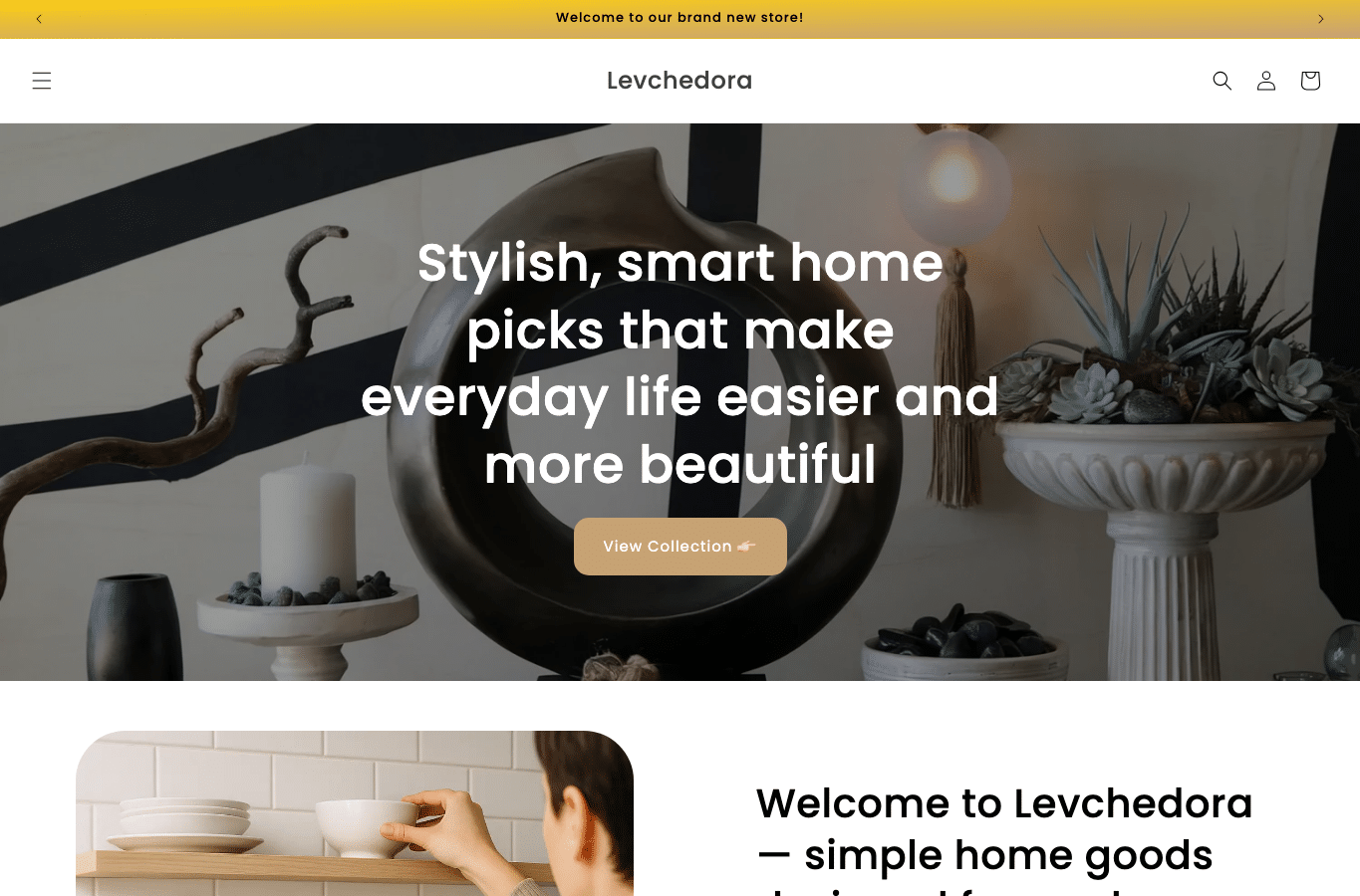 Bildschirmaufnahme von levchedora.com