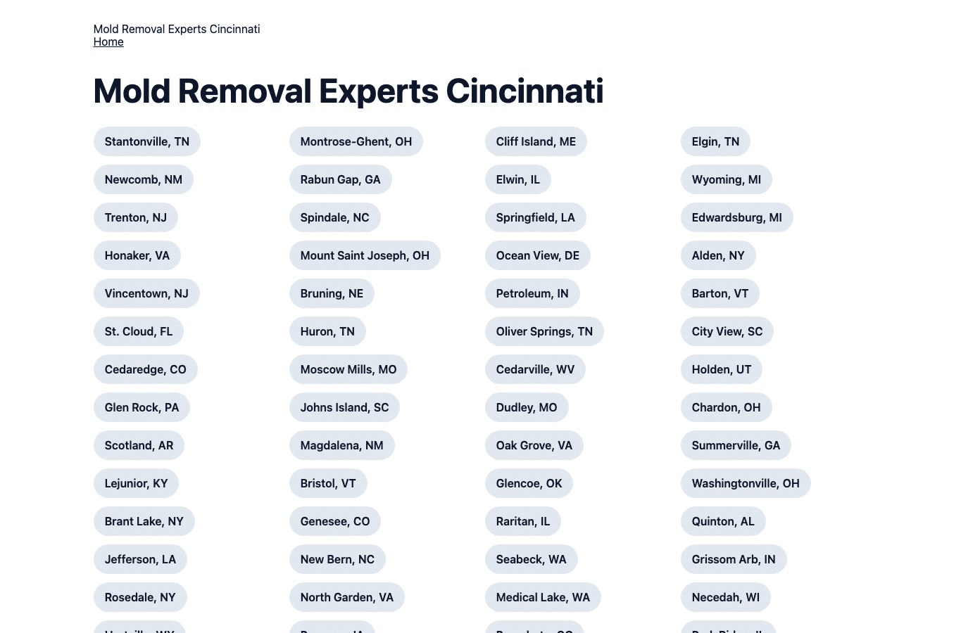 Bildschirmaufnahme von moldremovalexpertscincinnati.com