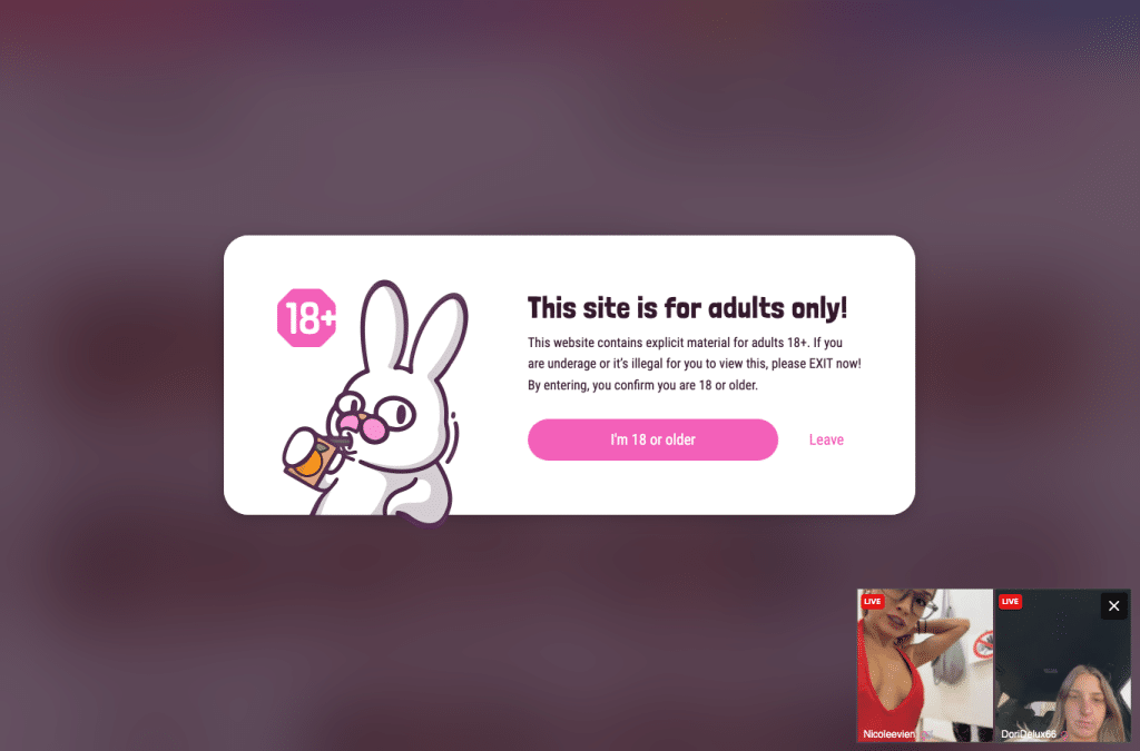 Bildschirmaufnahme von pimpbunny.com