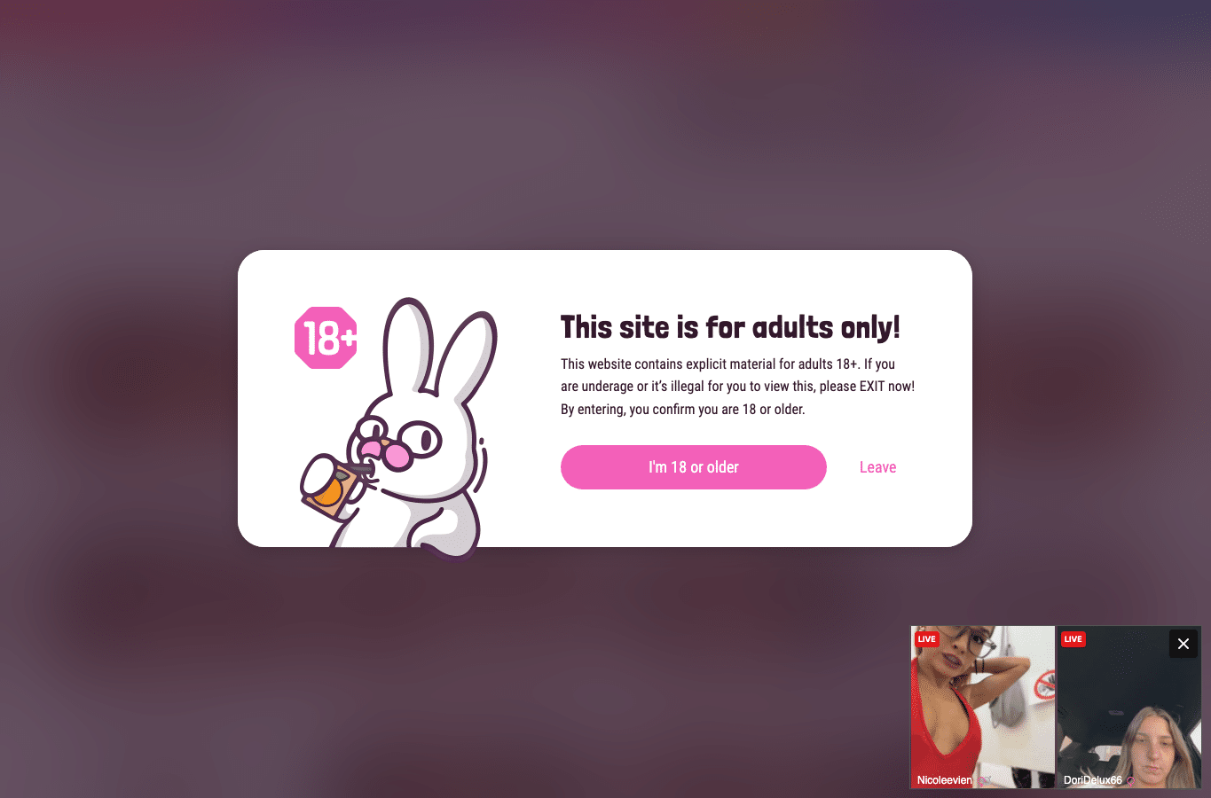 Bildschirmaufnahme von pimpbunny.com