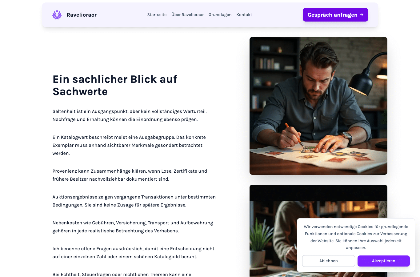 Bildschirmaufnahme von ravelioraor.sbs