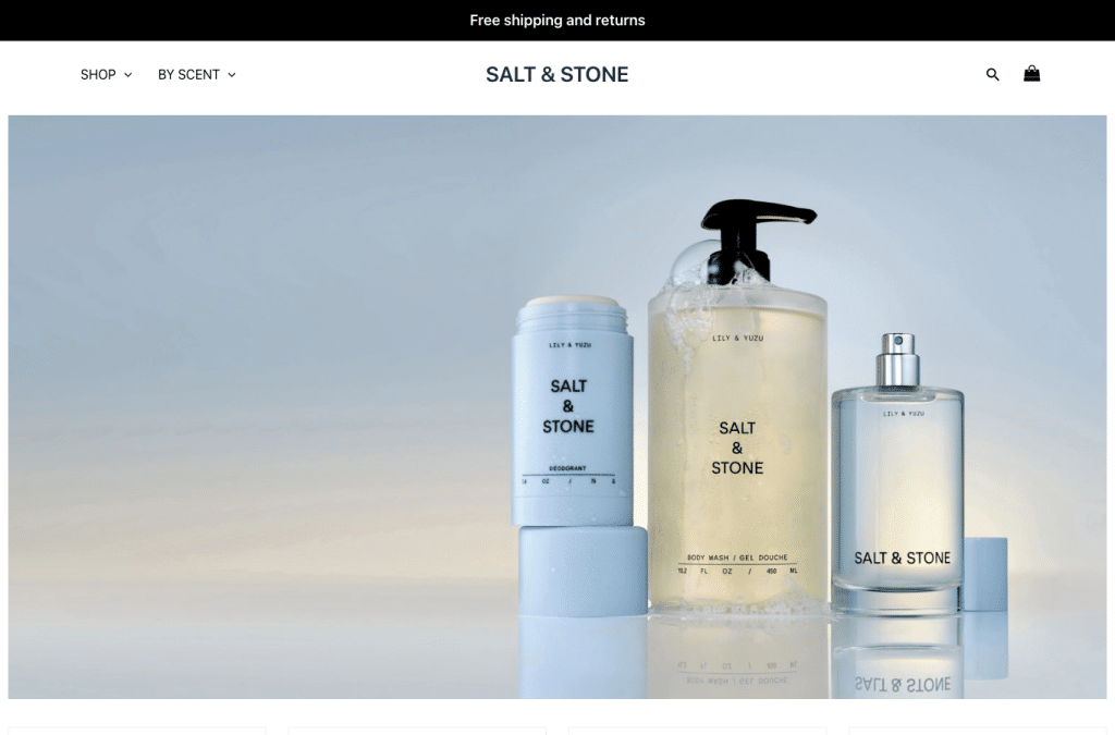 Bildschirmaufnahme von saltandstone-store.us