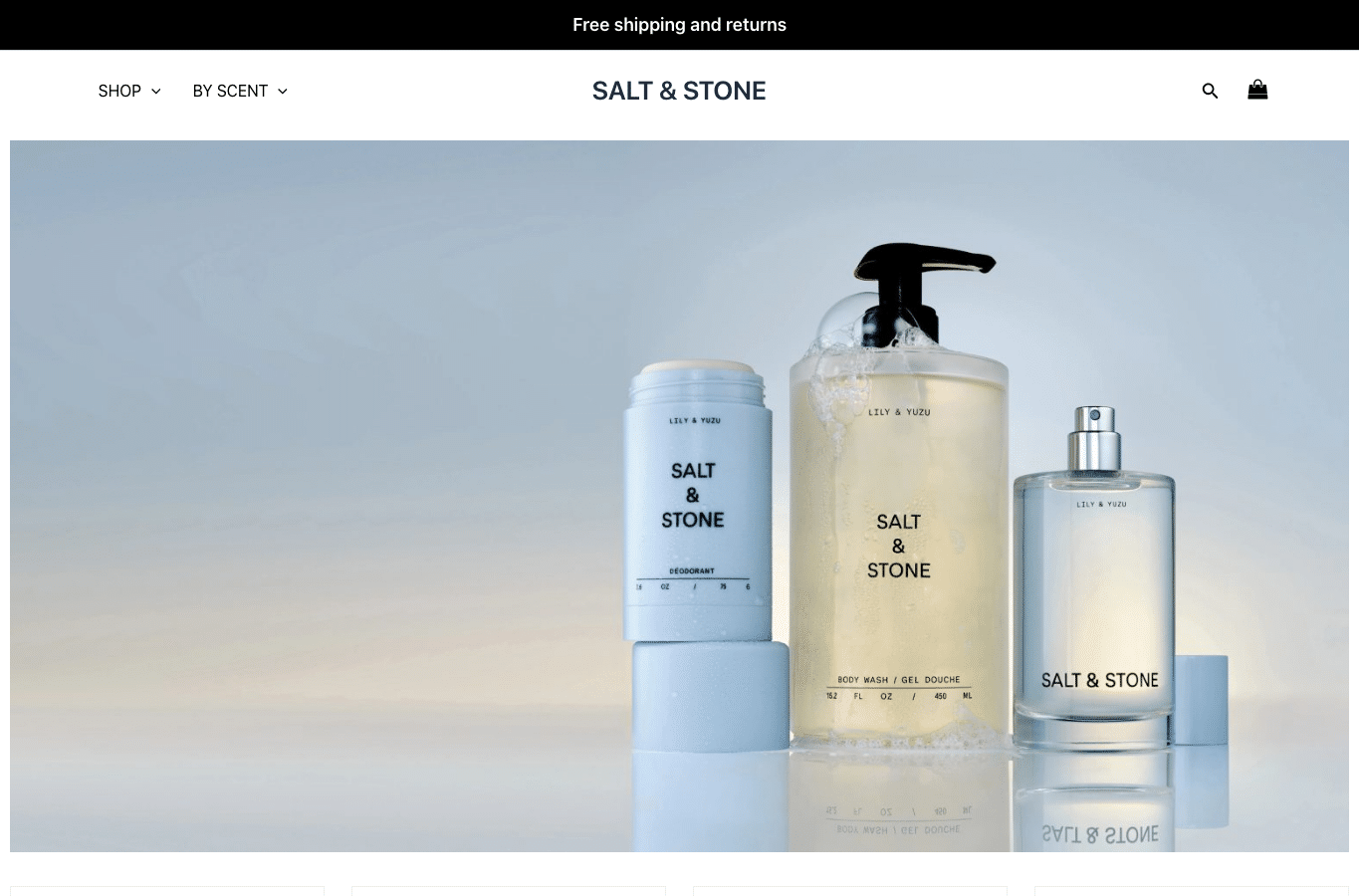 Bildschirmaufnahme von saltandstone-store.us