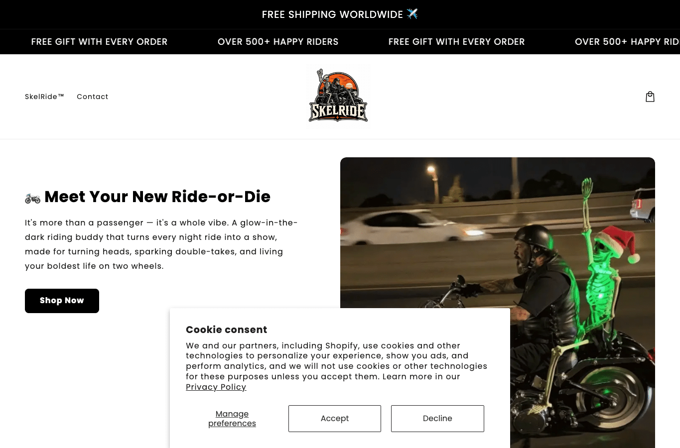 Bildschirmaufnahme von skelride.com