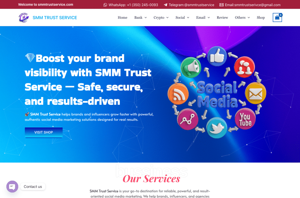 Bildschirmaufnahme von smmtrustservice.com