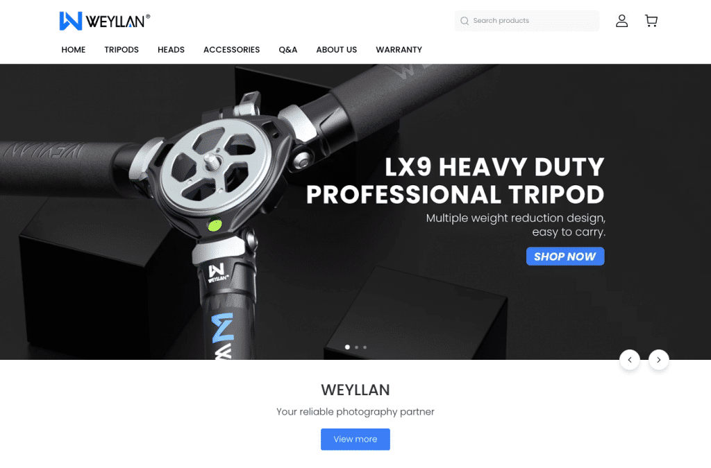 Bildschirmaufnahme von weyllan.com
