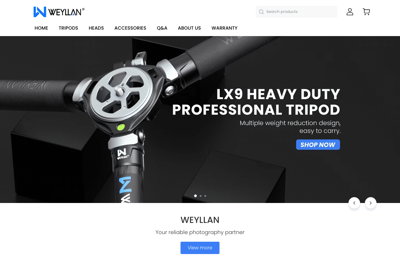 Bildschirmaufnahme von weyllan.com